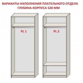 Шкаф распашной серия «ЗЕВС» (PL3/С1/PL2) Серый камень/Небраска натуральный в Полевском - polevskoy.ok-mebel.com | фото 9