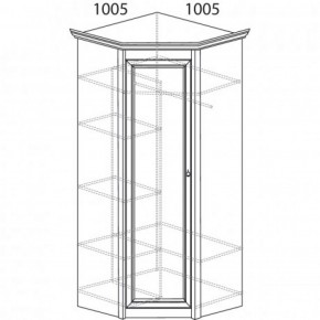Шкаф угловой №662 "Флоренция" Фасад глухой (угол 1005*1005) Дуб оксфорд в Полевском - polevskoy.ok-mebel.com | фото 3