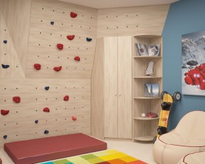 Шкаф угловой Мария 880*880 (ЛДСП 1 кат.) в Полевском - polevskoy.ok-mebel.com | фото 8