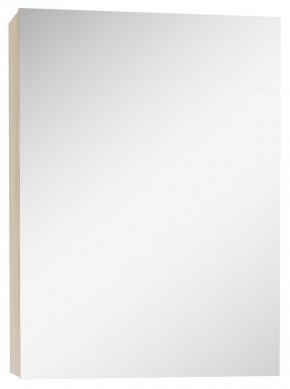 Шкаф-зеркало Мечта 40 Дуб сонома АЙСБЕРГ (DM2317HZ) в Полевском - polevskoy.ok-mebel.com | фото 1