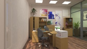 Шкафы для документов Р.Ш-4СБ в Полевском - polevskoy.ok-mebel.com | фото 5