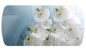 Стол Бостон-3 (Белая Орхидея) 1100/1420*700, опора Брифинг в Полевском - polevskoy.ok-mebel.com | фото 2