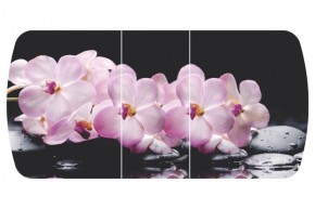 Стол Бостон-3 (Розовая Орхидея) 1100/1420*700, опора Брифинг в Полевском - polevskoy.ok-mebel.com | фото 2