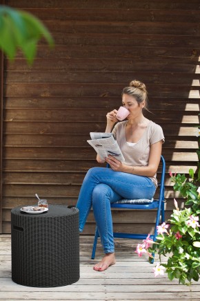 Столик-холодильник Кул-Стул (Cool stool) графит в Полевском - polevskoy.ok-mebel.com | фото