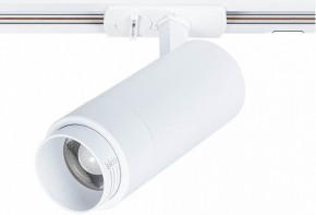 Светильник на штанге Arte Lamp Merak A3530PL-1WH в Полевском - polevskoy.ok-mebel.com | фото