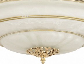 Светильник на штанге Arti Lampadari Pavia Pavia E 1.13.P40 G в Полевском - polevskoy.ok-mebel.com | фото 3