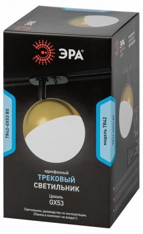 Светильник на штанге Эра  TR42-GX53 BS в Полевском - polevskoy.ok-mebel.com | фото 6