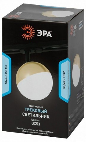 Светильник на штанге Эра  TR42-GX53 MG в Полевском - polevskoy.ok-mebel.com | фото 6