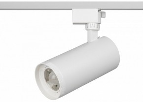 Светильник на штанге Эра  TR59 - 3030 WH в Полевском - polevskoy.ok-mebel.com | фото 2