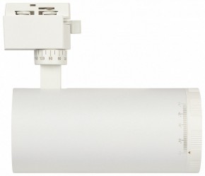 Светильник на штанге Эра  TR59 - 3030 WH в Полевском - polevskoy.ok-mebel.com | фото 4