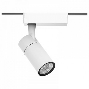 Светильник на штанге Gauss Track Light TR059 в Полевском - polevskoy.ok-mebel.com | фото