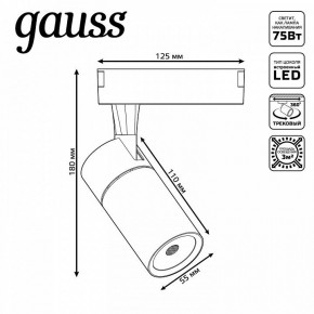 Светильник на штанге Gauss Track Light TR060 в Полевском - polevskoy.ok-mebel.com | фото 5