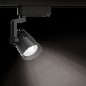 Светильник на штанге Gauss Track Light TR061 в Полевском - polevskoy.ok-mebel.com | фото 2