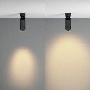 Светильник на штанге Maytoni Focus Zoom C055CL-L12W2.7K-Z-B в Полевском - polevskoy.ok-mebel.com | фото 3