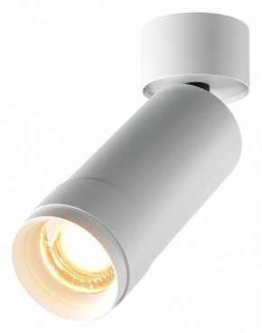 Светильник на штанге Maytoni Focus Zoom C055CL-L12W2.7K-Z-W в Полевском - polevskoy.ok-mebel.com | фото