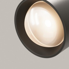 Светильник на штанге Maytoni Lens TR217-2-15W3K-B в Полевском - polevskoy.ok-mebel.com | фото 12