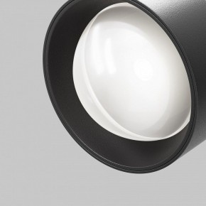 Светильник на штанге Maytoni Lens TR217-2-15W4K-B в Полевском - polevskoy.ok-mebel.com | фото 10
