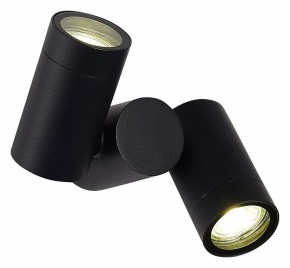 Светильник на штанге ST-Luce Ecollo SL9011.402.02 в Полевском - polevskoy.ok-mebel.com | фото 2