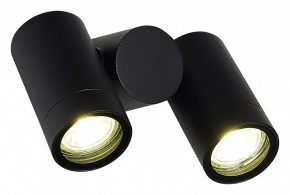 Светильник на штанге ST-Luce Ecollo SL9011.402.02 в Полевском - polevskoy.ok-mebel.com | фото 3