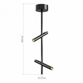 Светильник на штанге ST-Luce LILT SL6210.403.02 в Полевском - polevskoy.ok-mebel.com | фото 3