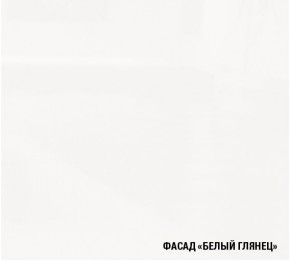 ТЕРЦИЯ Кухонный гарнитур Стандарт (1600 мм) в Полевском - polevskoy.ok-mebel.com | фото 4