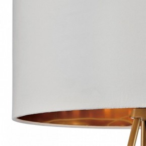 Торшер Lumion Tapioka 8077/1F в Полевском - polevskoy.ok-mebel.com | фото 6