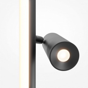 Торшер Maytoni Thin MOD395FL-L28B3K в Полевском - polevskoy.ok-mebel.com | фото 6