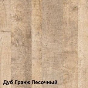 Трувор Шкаф 13.204.01 в Полевском - polevskoy.ok-mebel.com | фото 4