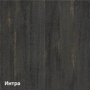 Трувор Шкаф-стеллаж 13.206 в Полевском - polevskoy.ok-mebel.com | фото 4