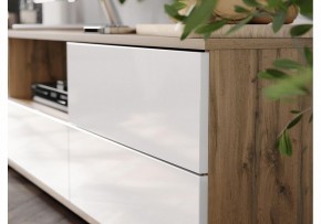 Тумба под ТВ Маллоу в Полевском - polevskoy.ok-mebel.com | фото 4