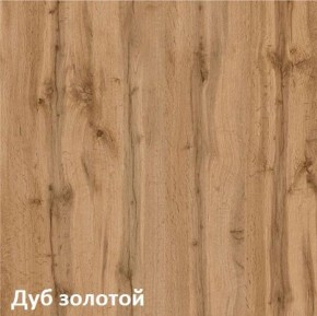 Вуди Шкаф для одежды 13.138 в Полевском - polevskoy.ok-mebel.com | фото 4