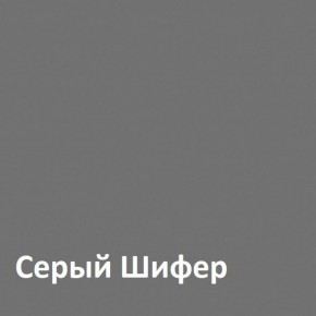 Юнона Шкаф торцевой 13.221 в Полевском - polevskoy.ok-mebel.com | фото 2